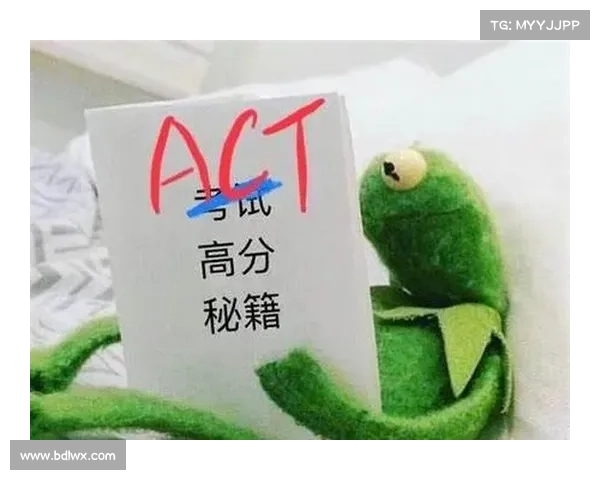 通天试炼满分秘籍:无失误通关指南 通天试炼满分秘籍:无失误通关指南
